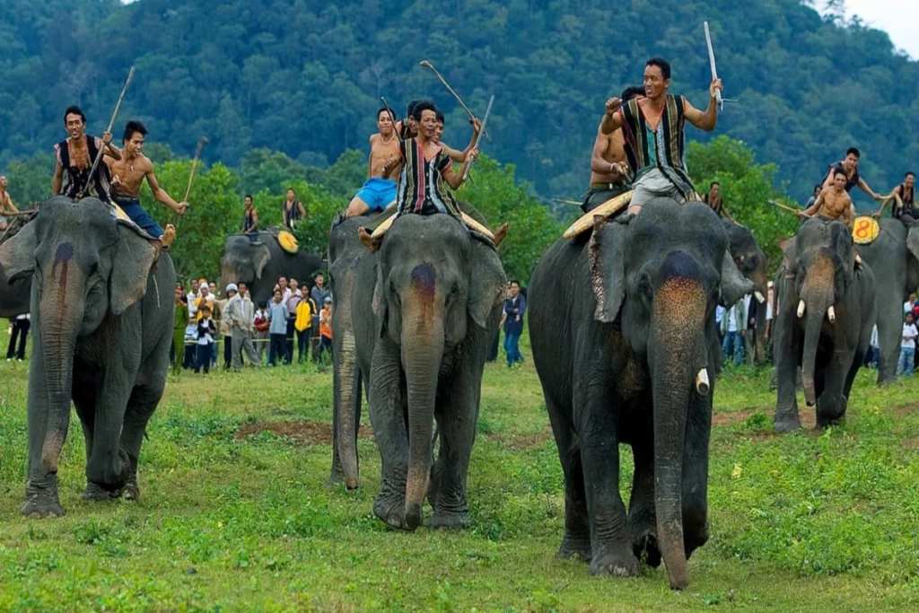 Vietnamese festivals Elephant Race Festival (Buon Ma Thuot)